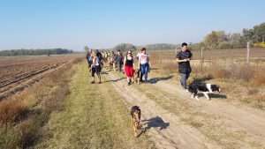 Kutyások sétálnak Jakabszállás tanyavilágában egy szántóföld mellett