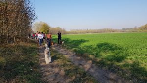 Kutyások sétálnak Jakabszállás tanyavilágában egy here mező mellett